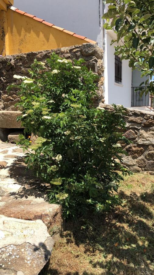 Casa Sierra De Gredos Konuk evi Navasequilla Dış mekan fotoğraf
