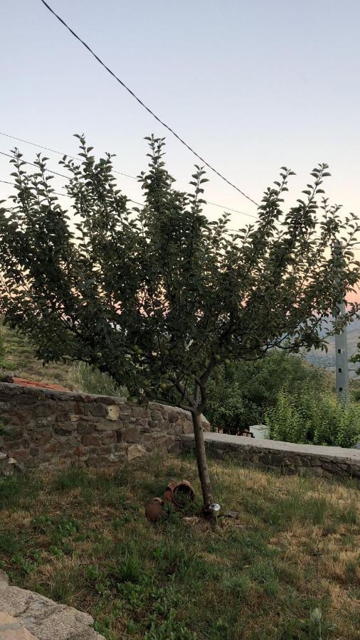 Casa Sierra De Gredos Konuk evi Navasequilla Dış mekan fotoğraf