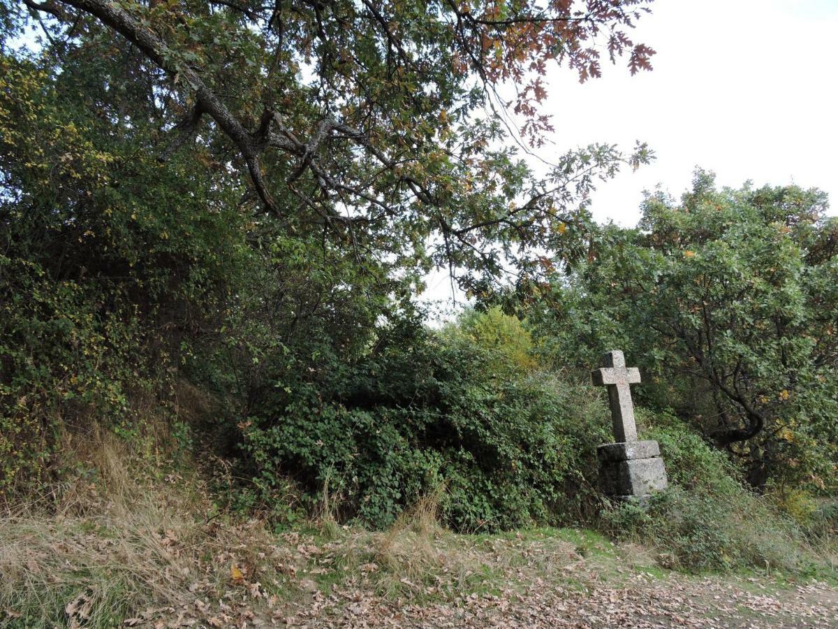 Casa Sierra De Gredos Konuk evi Navasequilla Dış mekan fotoğraf
