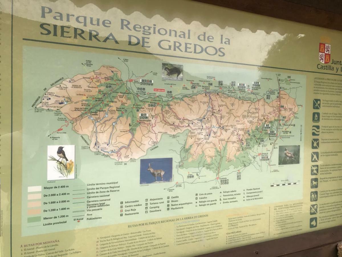 Casa Sierra De Gredos Konuk evi Navasequilla Dış mekan fotoğraf